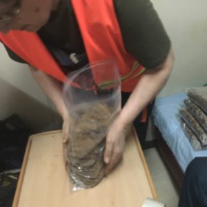 Незалежна_експертиза 3